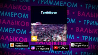 Валыков — Триммером (Official Audio, 2023)