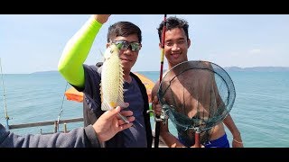 Primitive Technology - Grilled Squid on a rock - eating delicious ream 2019