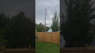 Crazy Windstorm 52925