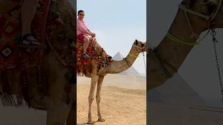 First Time Riding A Camel Anxiety