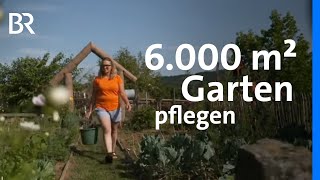 Riesigen Garten Pflegen Von Der Mini-Kiwi Über Den Bierkeller Zur Zwetschge Frankenschau Br