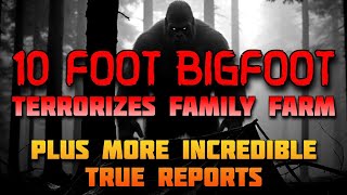 10 Foot Bigfoot Terrorizes Family Farm Plus More Incredible True Reports