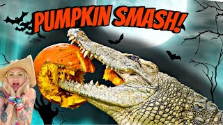 Giant Crocodiles & Alligators Devour Pumpkins For Halloween