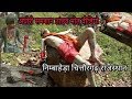 RajRDX 24 अघोरी समशान तांडव मौत वीडियो निम्बाहेड़ा चित्तौरगढ Shiv Tandav aghori samshan video vinodR