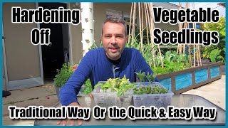 Hardening Off Your Seedlings - Traditional Way And An Easier Lazy Way