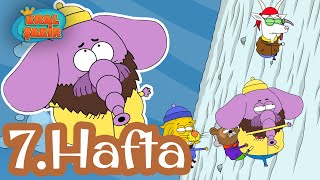Necatinin Muhtişim Tatili 7. Hafta