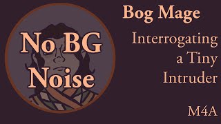 Asmr Nb4A Bog Mage Shrinks And Interrogates You No Background Noise