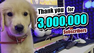 Thank You For 3 Million Subscribers !! | Nhamnoys
