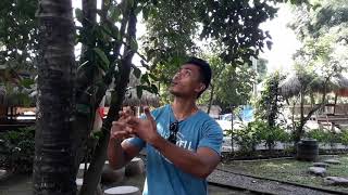 Parents as Teachers - Pak Ira Talks about Coconut