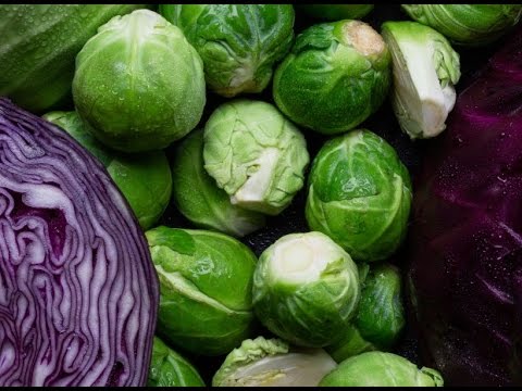 So einfach lösen Sie Ihren Gegessen wird immer Gutschein ein