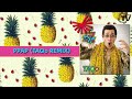 Pikotaro- PPAP (Pen-Pineapple-Apple-Pen) (TAQo Remix) - Cover Art -  Time Records