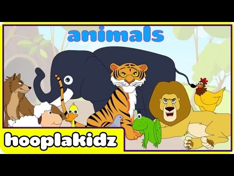 Learn About Sounds of Animals 2 - Interactive Learning Videos