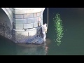 Man rescues pet rabbit from River Liffey 03-07-2011 P1