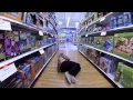 Store