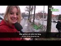 german