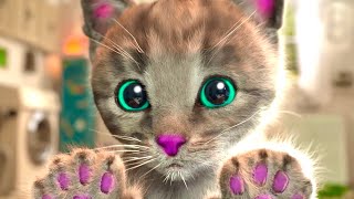Animation Little Kitten Adventures Of A Preschool - Cartoon Kittens The Best Learning Video For Kids