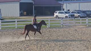 Show 2025 Norakate Owens And Wendell Equitation Pattern