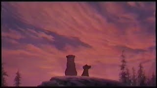 Brother Bear 2003 Promo Vhs Capture