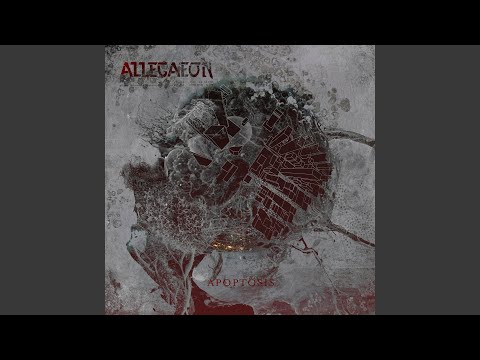 Interphase // Meiosis Video