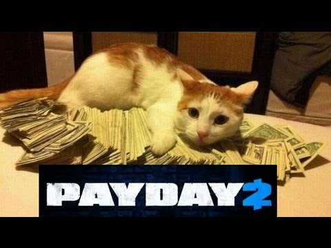 Kitty money