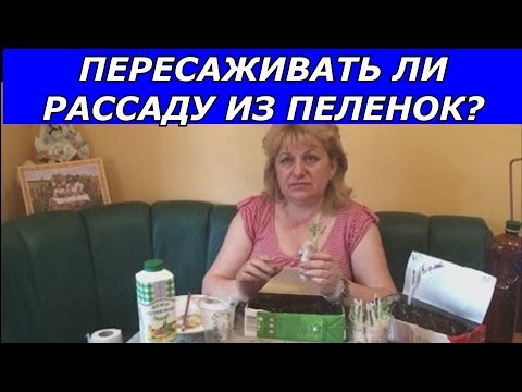 Чем подкормить петунию для обильного цветения: фото, видео Чем подкормить петунию в домашних условиях: какими
