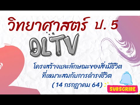 เฉลยใบงาน DLTV วิทยาศาสตร์ ป.5 โครงสร้างและลักษณะของสิ่งมีชีวิตที่เหมาะสม (14 ก.ค. 64) Ep.22