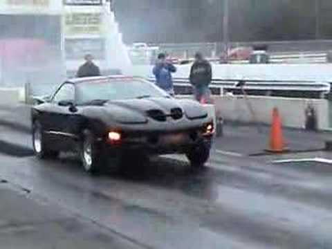 My Trans Am