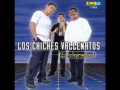 CHICHES VALLENATOS - FUE MI CULPA CHICHES VALLENATOS - FUE MI CULPA