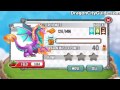 dragon city
