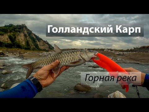 быстро ловишь быстро ловишь