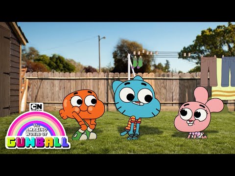 Petit Paradise Video