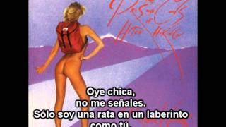 Watch Roger Waters 441 Am sexual Revolution video
