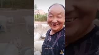 Hayvanların Komik Anları