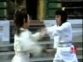 『飛花逐月（1983）-TVシリーズ』の動画　VS黃元申