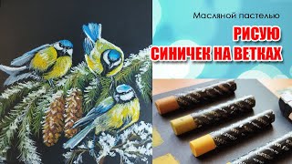 Рисую Синичек Масляной Пастелью. Артблог.