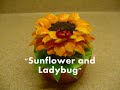 view Sunflower