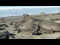 Mating Isn T Easy images Mating Isn T Easy