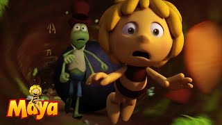 Maya And Flip Run For Their Lives - Maya The Bee