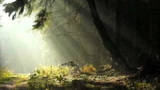 Watch Sun Of The Sleepless Nebelmond video