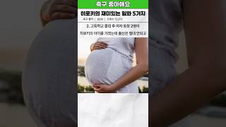 mVfYp6lINkY Video Image