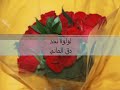 دق الماني بدون موسيقى - لولوة نجد...