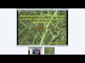 Orgin of life through convection and serpentinization - Michael Russell (SETI Talks)