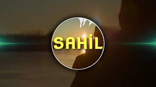 Adlar Sahi̇l Vi̇dmus   