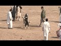 Dog fights illegal but still popular in Pakistan