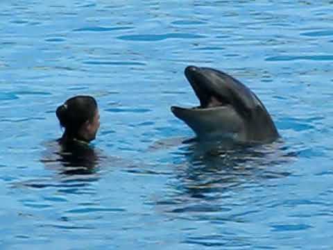 free amateur pon vedeo having sex with other species