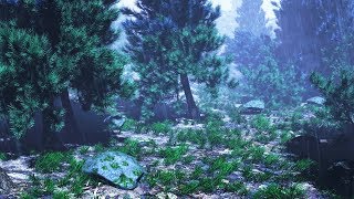 Rain Sounds In Woods For Sleeping Or Studying Rainstorm White Noise 10 Hours Rain Sounds In Woods For Sleeping Or Studying Rainstorm White Noise 10 Hours