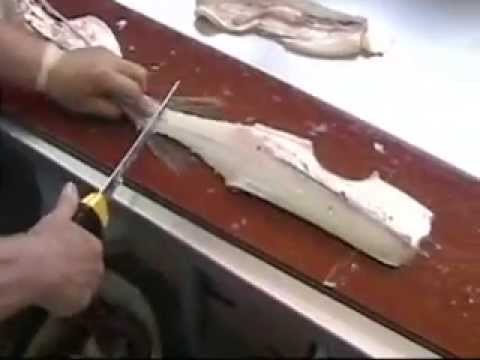 How to Clean and Fillet a Northern Pike picture How to Clean and Fillet a Northern Pike pics
