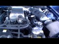 Shelby Gt500 Super Snake For Sale At Palmetto Ford Charleston images Shelby Gt500 Super Snake For Sale At Palmetto Ford Charleston