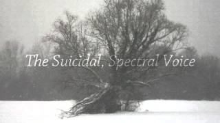Watch Paradox Sadness video