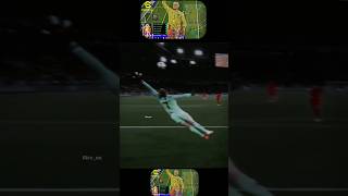 The Art Of Goalkeeping De Gea Pickford
